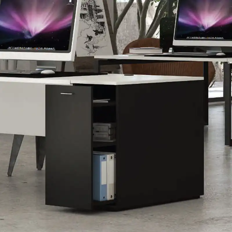 CASE SERIES