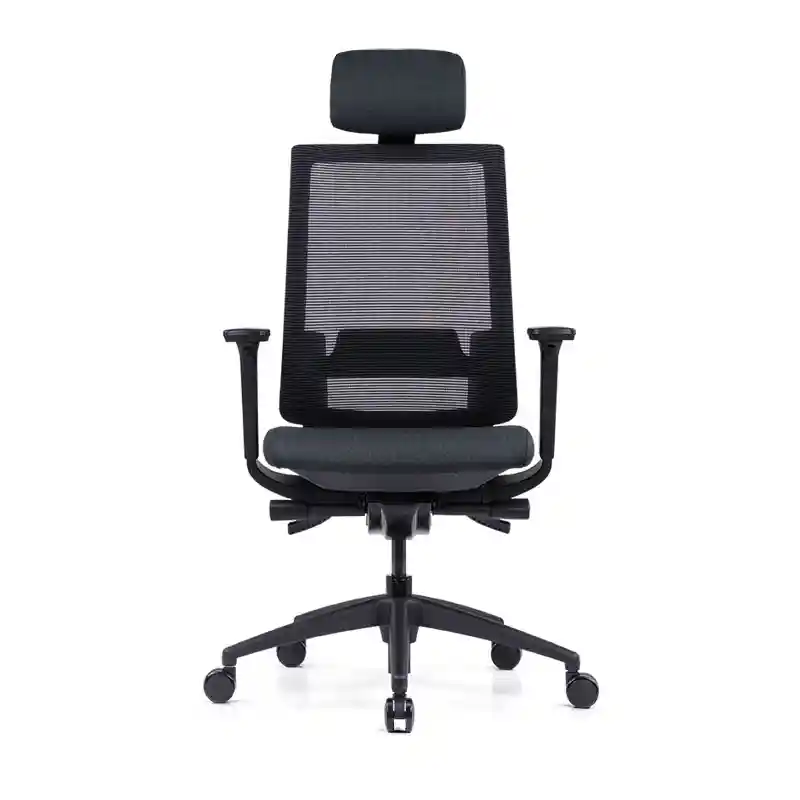 Finley Ergonomic High Back Chair