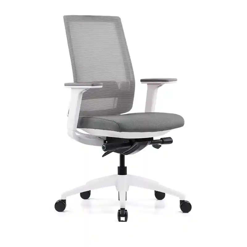 Finley Ergonomic Low Back Chair - Image 3