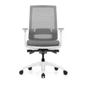Finley Ergonomic Low Back Chair