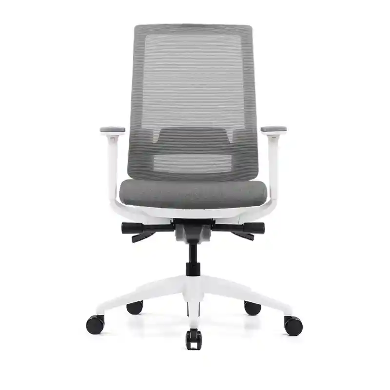 Finley Ergonomic Low Back Chair