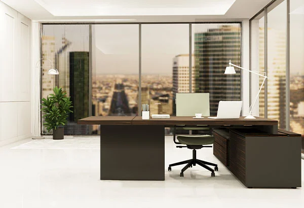 SE – President - Image 3