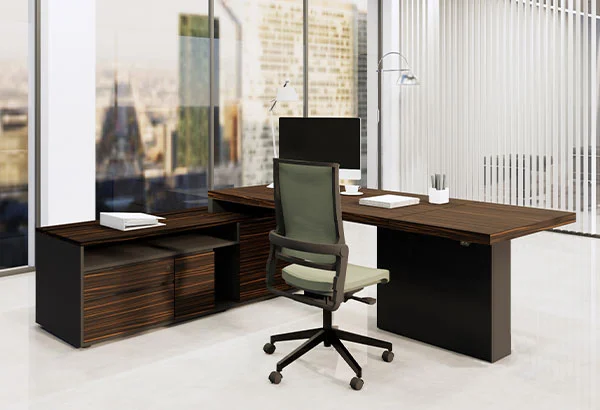 SE – President - Image 4