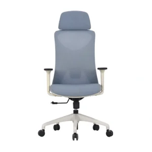 DW3006A Ergonomic High Back Chair