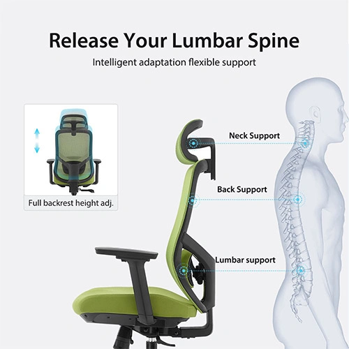 MEF ALLY - H Ergonomic High Back Chair - Image 6